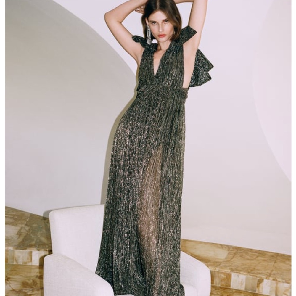 Zara limited edition maxi dress